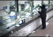 劉金星[河南警察學院教授]