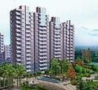 金港河濱華城 金港河濱華城