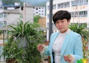 張海娟[福建省尤溪縣特殊教育學校校長]