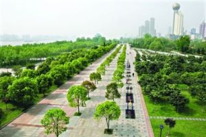 城市風道 城市風道