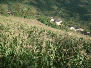 阿朵里村 阿朵里村