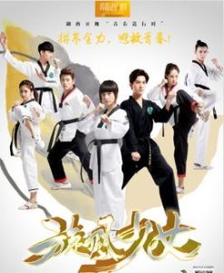 旋風少女[成志超執導電視劇]