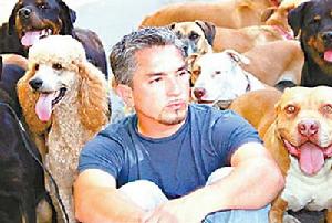 出色的狗心理專家