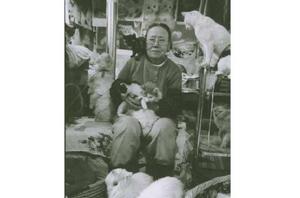 丁世英老人和120隻流浪貓的故事 丁世英老人和120隻流浪貓的故事