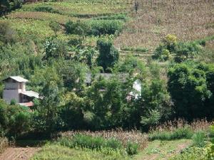 小箐頭自然村 小箐頭自然村