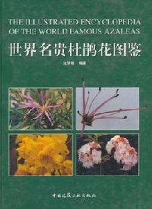 世界名貴杜鵑花圖鑑 世界名貴杜鵑花圖鑑