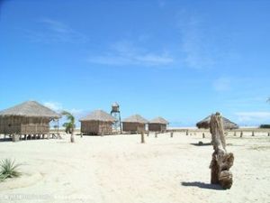 馬達加斯加島 馬達加斯加島