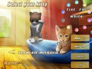 101寵物貓 101寵物貓