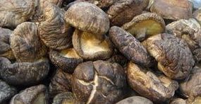 水煎乾香菇 水煎乾香菇