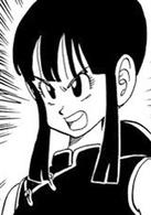 龍珠[日本1984年鳥山明創作的漫畫]