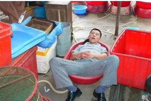 水產賣完，盆就是床！