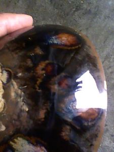 曜變稻葉天目 曜變稻葉天目