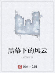 黑幕下的風雲 黑幕下的風雲