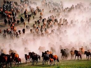 萬馬奔騰[漢語詞語]