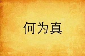 何為真 何為真