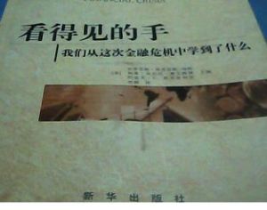 看得見的手：我們從這次金融危機中學到了什麼