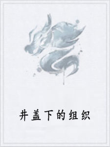 井蓋下的組織 井蓋下的組織