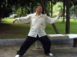 騰挪忽靈太極拳