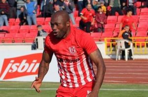 阿什福德 阿什福德