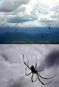 十大從天而降奇異物體 十大從天而降奇異物體