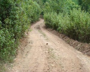 下獨達村 下獨達村