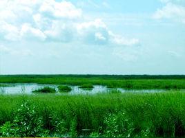 自然條件 自然條件