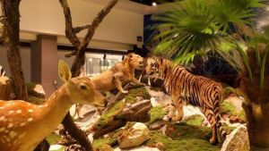 福建土樓自然博物館