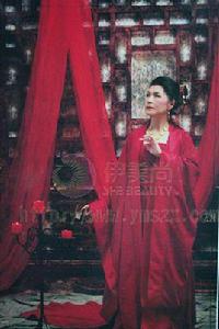 勵志婆婆[網路小說愛好者]