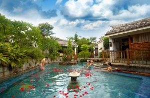 翠豐溫泉 翠豐溫泉