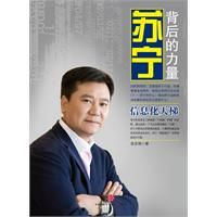 《蘇寧背後的力量——信息化天梯》