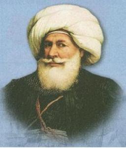 穆罕默德·阿里改革 穆罕默德·阿里改革