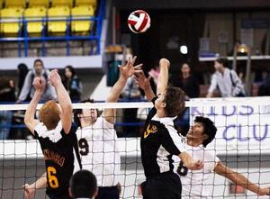 國際排球聯合會男子賽事