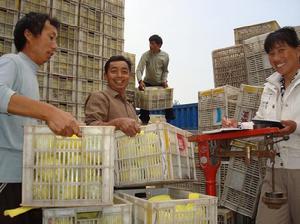 李新莊[山東省菏澤市單縣下轄鎮]