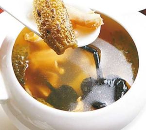 靈芝海參 靈芝海參