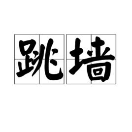 跳牆[名詞：跳牆]