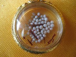 天降舍利 天降舍利