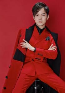 沈凌[中國內地男藝人]