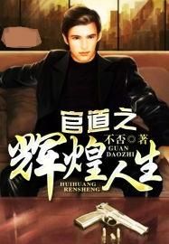 官道之輝煌人生 官道之輝煌人生