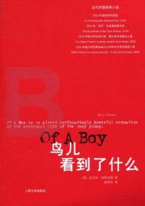 鳥兒看到了什麼 鳥兒看到了什麼