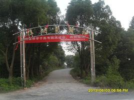 聶村村[山東省淄博市淄川區羅村鎮下轄村]