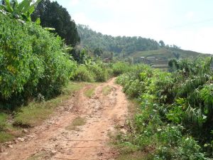 上幫麻村 上幫麻村