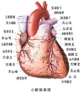 慢性心功能不全