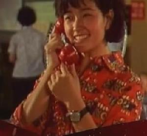 《瞧這一家子》[1979年王好為執導電影]