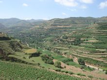 隴西縣農村風景