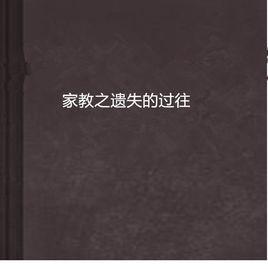 家教之遺失的過往 家教之遺失的過往