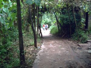 箐母林村 箐母林村