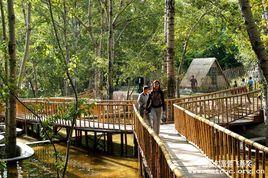 安家溝生態旅遊區 安家溝生態旅遊區