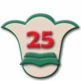 廣州市第25中學 廣州市第25中學