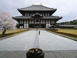 古奈良歷史遺蹟 古奈良歷史遺蹟