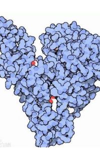 依替米星 依替米星